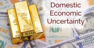 Domestic Economic Uncertainty
