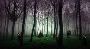 College Football A Wealthy Widow in the Woods