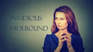 Two Words - Invidious and Hidebound