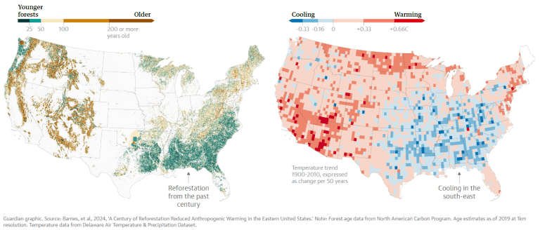 Reforestation Map