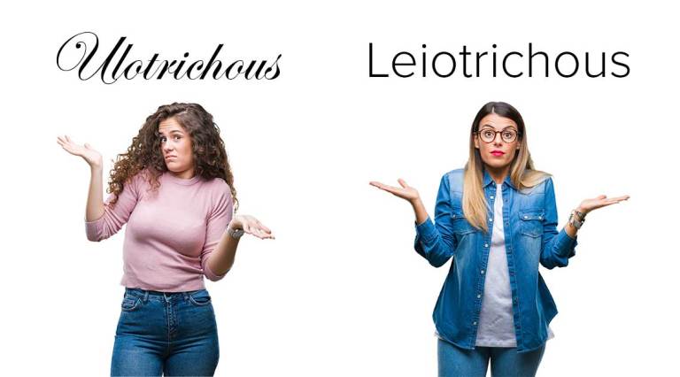 Ulotrichous & Leiotrichous hair salon
