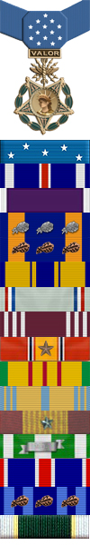 Hilliard A Wilbanks Medals MOH