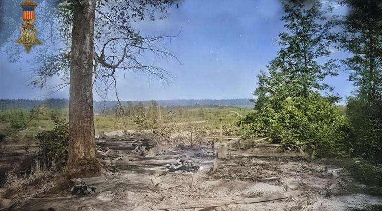 Dennis B Buckley MOH