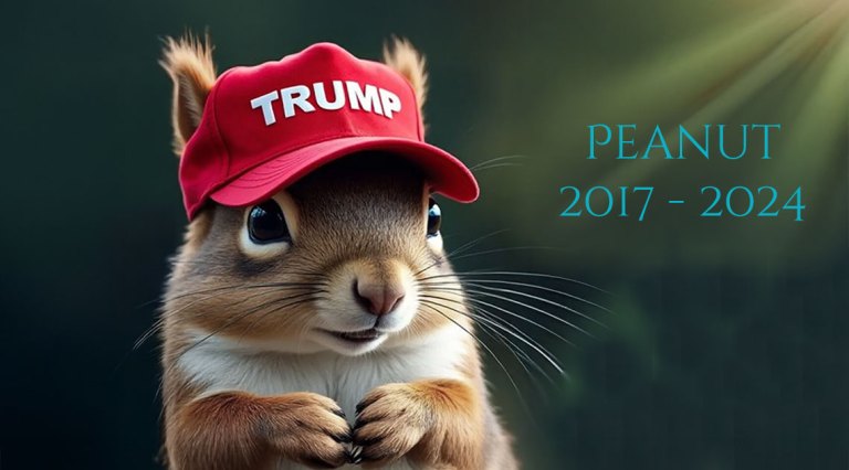 The Legacy of Peanut the Squirrel
