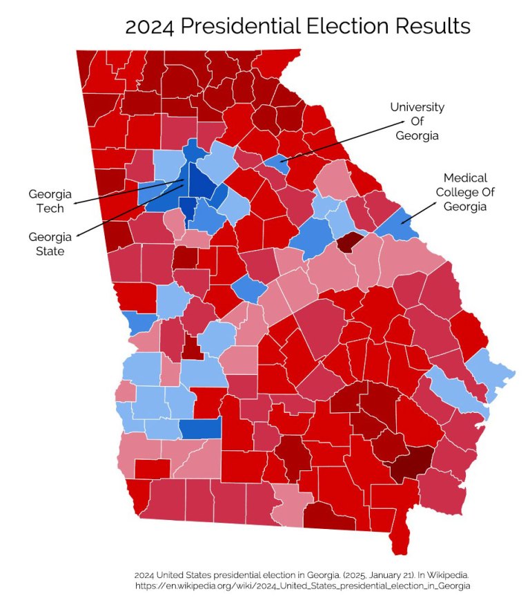 2024 Georgia Election Map