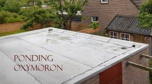 Two Words: Ponding & Oxymoron