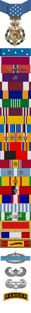 Medals Colonel Robertt B Nett MOH