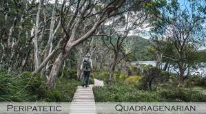 Two Words: Peripatetic & Quadragenerian