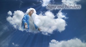 Signs and Wonders