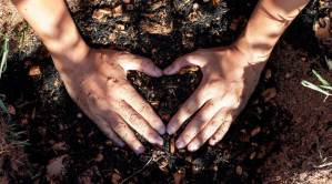 Human Composting